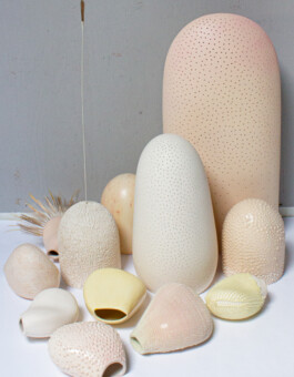  SOFT CERAMICS FLEUR HULLEMAN