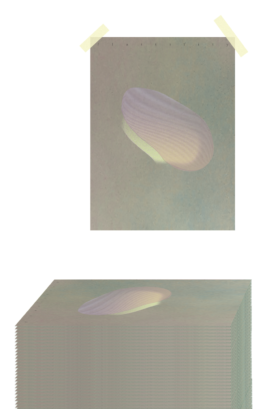  FLATTILITY BY FLEUR HULLEMAN