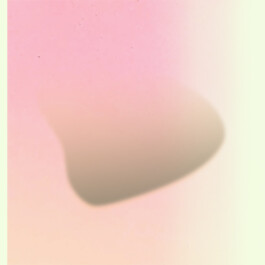  FLATTILITY BY FLEUR HULLEMAN