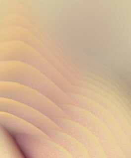  FLATTILITY BY FLEUR HULLEMAN