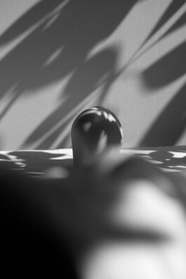  Pebble_3_Fleur_Hulleman_Wandler_Browns_photo_by_STEPHANIE_OONK.jpgklein